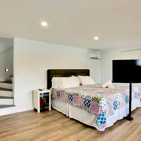 Siesta Heron Suites & Villas Siesta Key Room photo